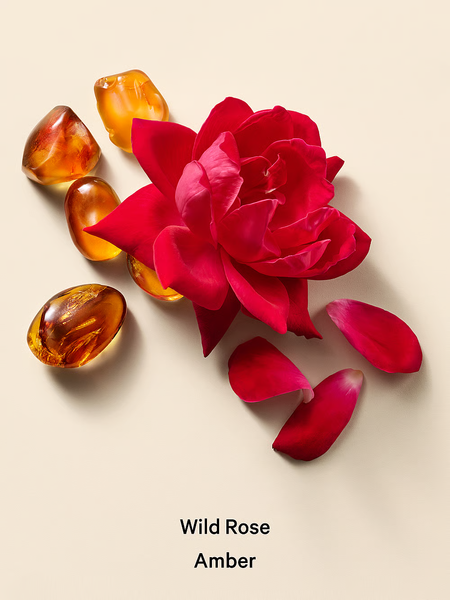 Масло для тіла Victoria`s Secret Wild Rose Amber 05263 фото