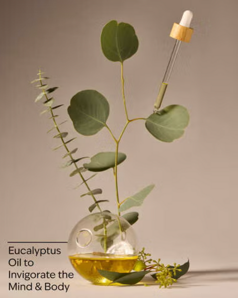 Лосьйон для тіла Bath & Body Works Aromatherapy Eucalyptus 04287 фото
