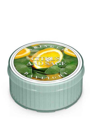 Ароматизована міні-свічка на 1 гніт Kringle Candle Citrus & Sage 03299 фото