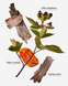 Гель для душу Bath & Body Works Autumn Drive 01643 фото 2