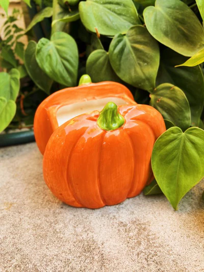 Ароматизована свічка на 2 гноти DW Home A Pumpkin for Your Thoughts | Ceramic 03283 фото