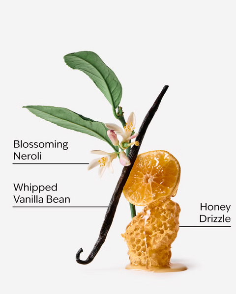 Пінне мило Bath & Body Works Whipped Honey & Vanilla 03821 фото