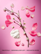 Лосьйон для тіла з шимером PINK Victoria`s Secret "L♡VE SHIMMER" Dream Girl 02547 фото 2