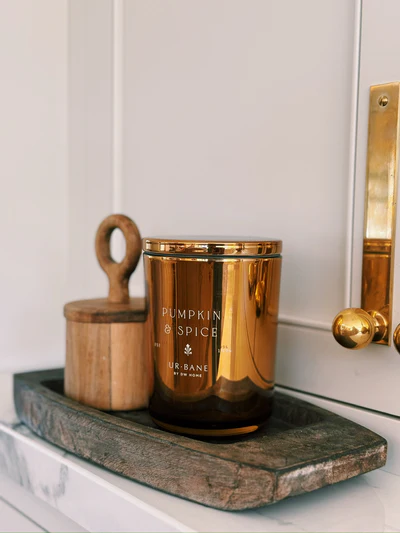Ароматизована свічка на 1 гніт DW Home Pumpkin & Spice 05155 фото