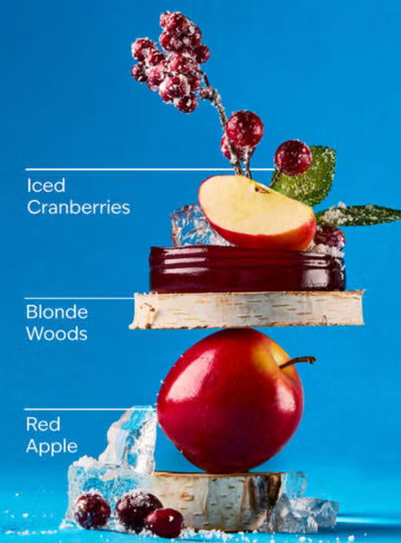 Ароматизатор для авто Bath & Body Works Frosted Cranberry KV0686 фото
