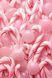 Крем для тіла Bath & Body Works Twisted Peppermint 00126 фото 2