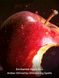 Міст для тіла з шимером Victoria`s Secret Apple Aphrodisiac 05779 фото 2