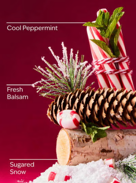 Лосьйон для тіла Bath & Body Works Twisted Peppermint 00177 фото