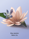Лосьйон для тіла Victoria`s Secret Blue Jasmine Water Lily 04703 фото 2