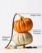Лосьйон для тіла Bath & Body Works Sweet Cinnamon Pumpkin 01568 фото 2