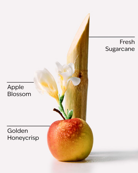 Ароматизатор Bath & Body Works Honeycrisp Apple 05536 фото