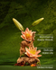 Гель для душу Bath & Body Works Disney Princess Tiana 05309 фото 2