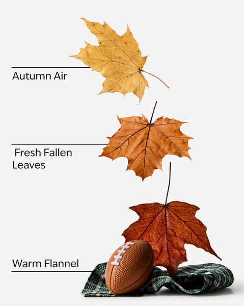 Спрей для тіла/дезодорант Bath & Body Works Football Season 05697 фото
